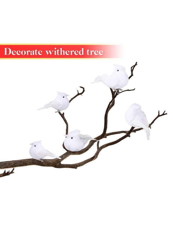 Canlierr Set of 36 Cardinal Bird with Clip Handmade Christmas Artificial Birds Clip Ornaments Fake Tree Birds Artificial Birds for Christmas Tree Outdoor Wreaths Crafts, 2'', 4'', 6''(White) - Image 4