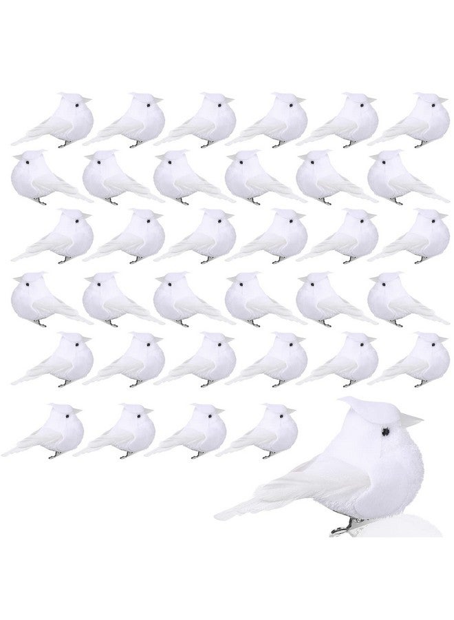 Canlierr Set of 36 Cardinal Bird with Clip Handmade Christmas Artificial Birds Clip Ornaments Fake Tree Birds Artificial Birds for Christmas Tree Outdoor Wreaths Crafts, 2'', 4'', 6''(White) - Image 1