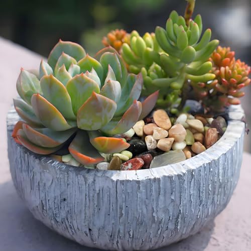 FANTIAN 10 lbs Small Succulent Rocks, 3/8 Inch Colorful Polished Pebbles for Indoor Plants. Decorative Rocks for Plants Indoor, Vases, Planters Aquarium and Outdoor Landscaping Garden - Image 3