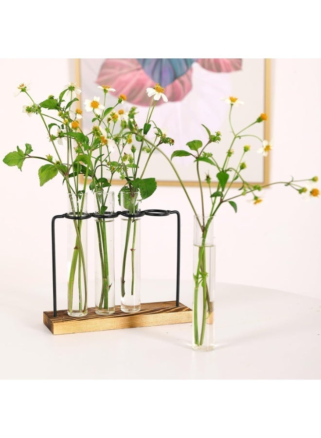 ChicAbode Plant Propagation Station, Desktop Glass Plant Propagation Station, Plant Terrarium with Wooden Stand, Air Planter Test Tubes Vase for Indoor Live Hydroponics Plants(5 Test Tubes, 1 Brush) - Image 5