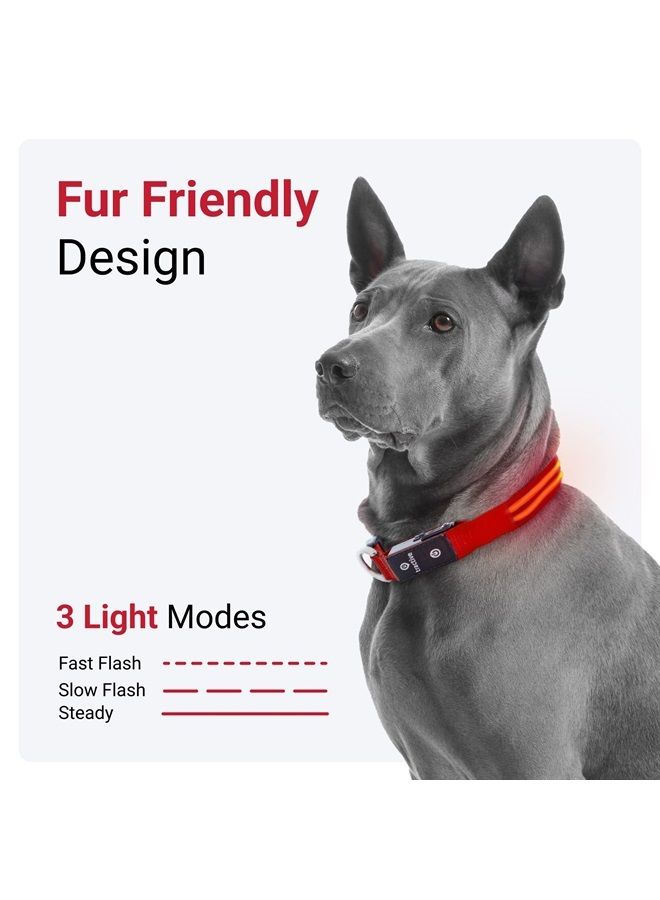 Tractive LED Light Up Dog Collar USB Rechargeable Waterproof (Red) - Image 2