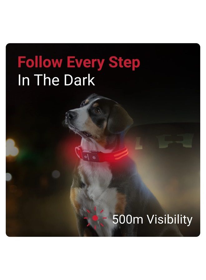 Tractive LED Light Up Dog Collar USB Rechargeable Waterproof (Red) - Image 1