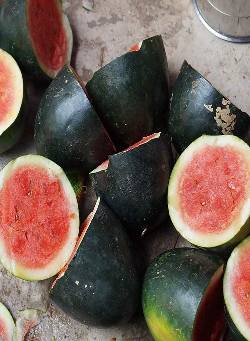 GGOOT 100Pcs Watermelon Seeds Outdoor Plant Seeds Mini Delicious Premium Fruit Plant Seeds Watermelon Seeds - Image 2