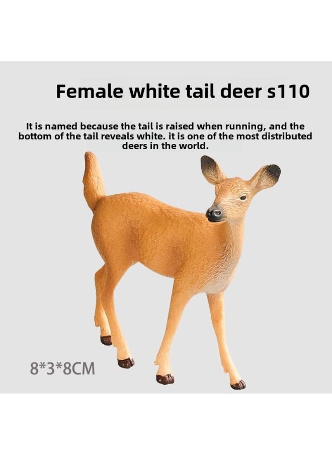 Simulation Wildlife Model Solid Fox Eagle Kangaroo Sloth Ostrich Wolf Leopard Squirrel Toy Ornaments-Color:S110 Female White-tailed Deer  - Image 1