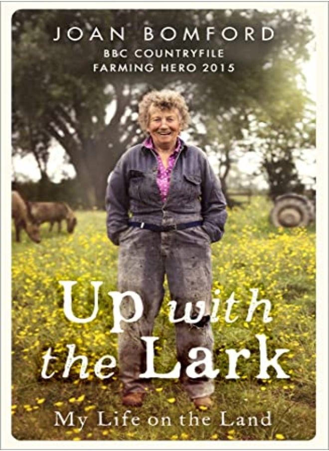 Up With The Lark 