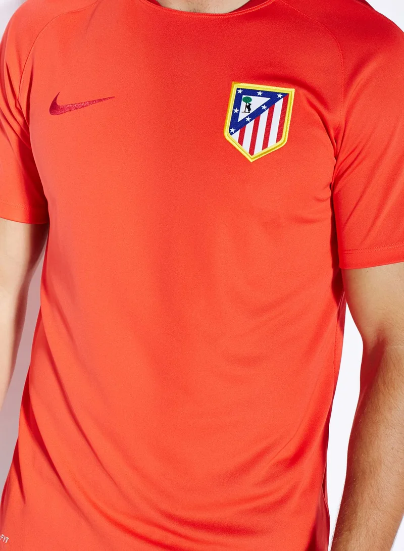 Nike ATM Flash Training Top