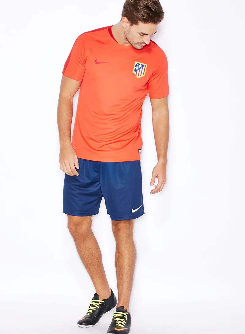 Nike ATM Flash Training Top