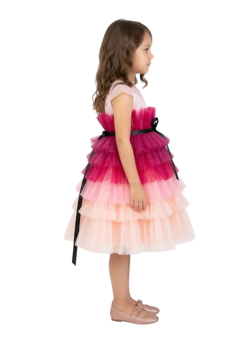 D'Daniela Tiered Tulle Dress - Image 3