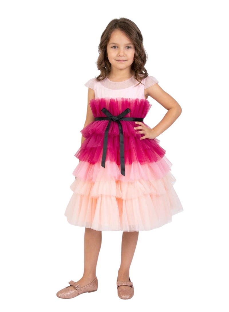 D'Daniela Tiered Tulle Dress - Image 1