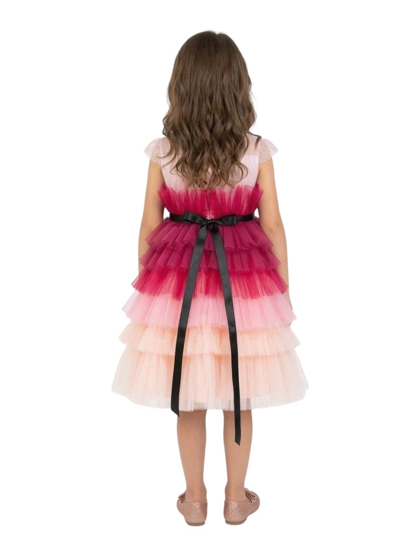 D'Daniela Tiered Tulle Dress - Image 2
