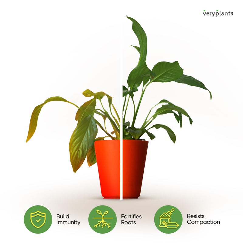 veryplants Molly's Aroid Mix - Premium Soilless Chunky Potting Mix for Tropical and Indoor Plants - Contains Orchiata Bark, Coco Chips, Worm Castings, Horticultural Charcoal, Mycorrhizae 10 Dry Quarts - Image 5