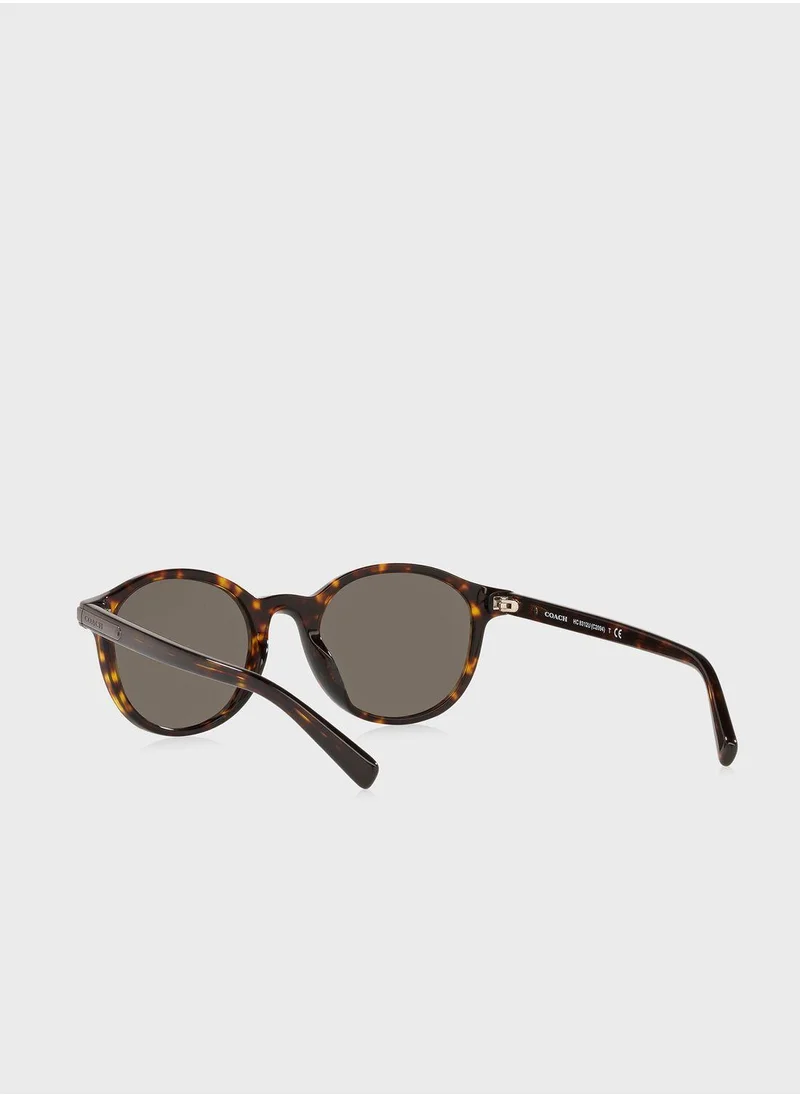 كوتش نظارة شمسية 0Hc8312U واي فيرار