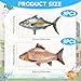 Charnoel 6 Pcs Fish Balloons Realistic Inflatable Carp Tuna Balloons for Fishing Theme Party Decorations Gone Fishing Party Decorations Supplies - Image 4
