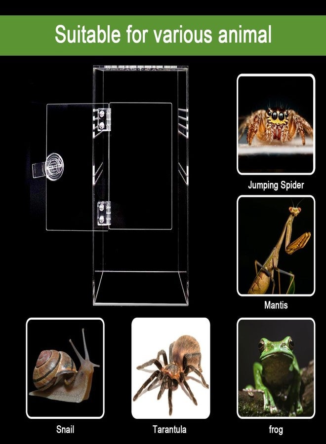 SORWATEE Spider Terrarium Kit, Jumping Spider Enclosure with Hideout, Rope Bridge, Ledge Ladder, Micro Habitat Terrarium for Small Tree Dwelling Reptiles, Arboreal Tarantula Enclosure (6x6x12 Inches) - Image 4