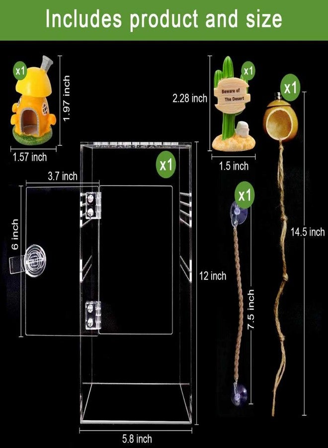 SORWATEE Spider Terrarium Kit, Jumping Spider Enclosure with Hideout, Rope Bridge, Ledge Ladder, Micro Habitat Terrarium for Small Tree Dwelling Reptiles, Arboreal Tarantula Enclosure (6x6x12 Inches) - Image 2