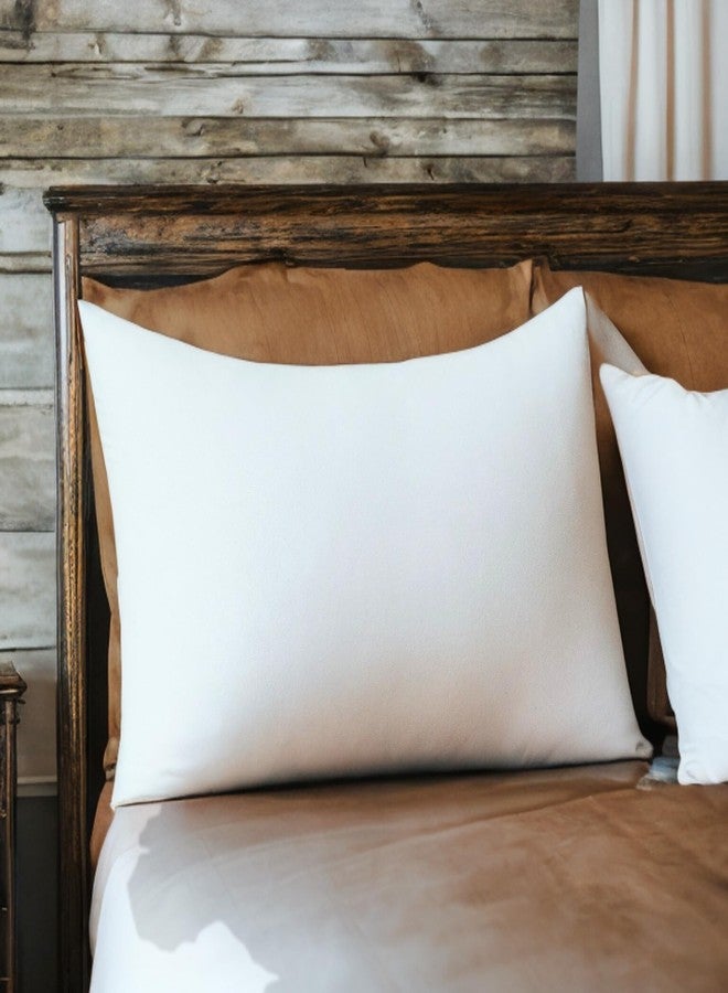 Dada Bedding Luxury 20x28 Pillow Insert - Soft Medium Firm, Premium Polyester, Perfect for Side and Back Sleepers - Image 1