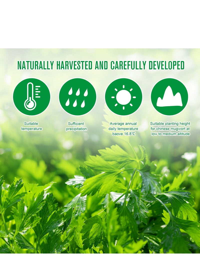 Sefudun Wormwood Shoulder Heat Pad, Shoulder Heat Patches, Pain Relief Patches, 12 Count Warming Herbal Plaster Heat Patches, Deep Heating Extra Strength Joint Patch of Shoulder, Herbal Heating Pad - Image 5