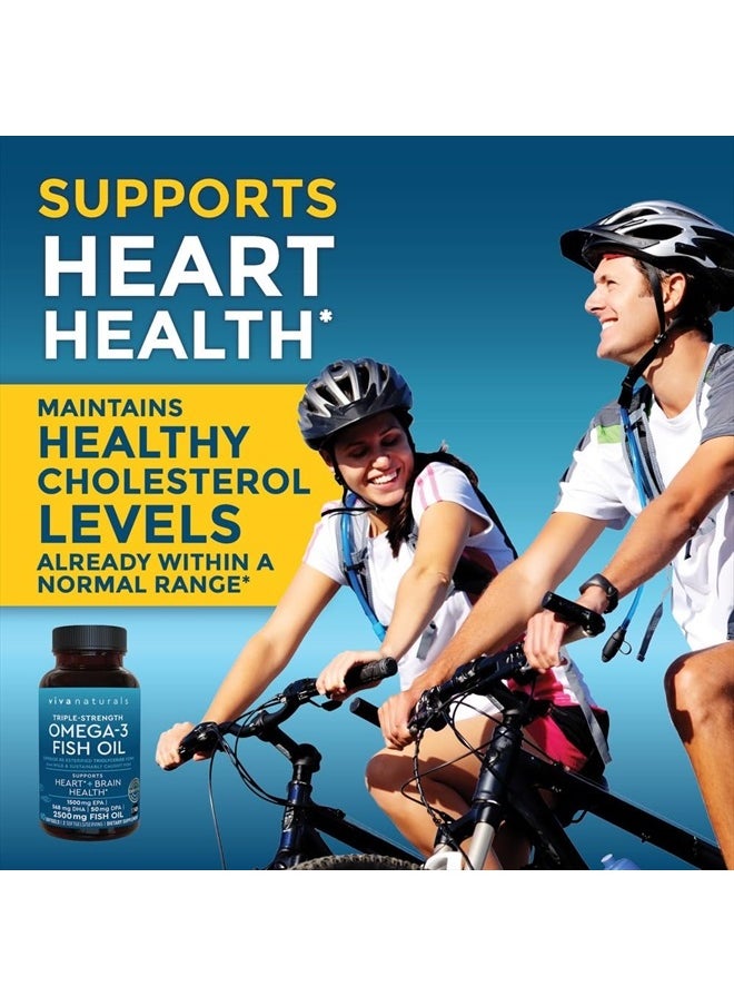 Triple Strength Omega-3 Fish Oil, 60 Softgels