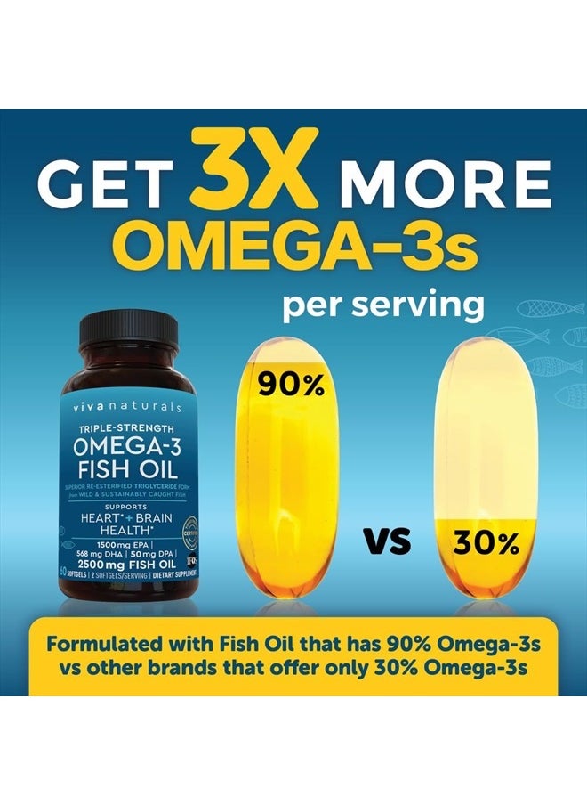 Triple Strength Omega-3 Fish Oil, 60 Softgels