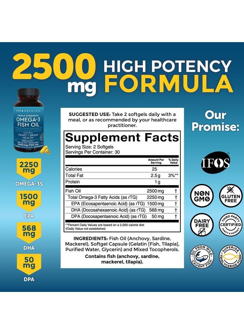 Triple Strength Omega-3 Fish Oil, 60 Softgels