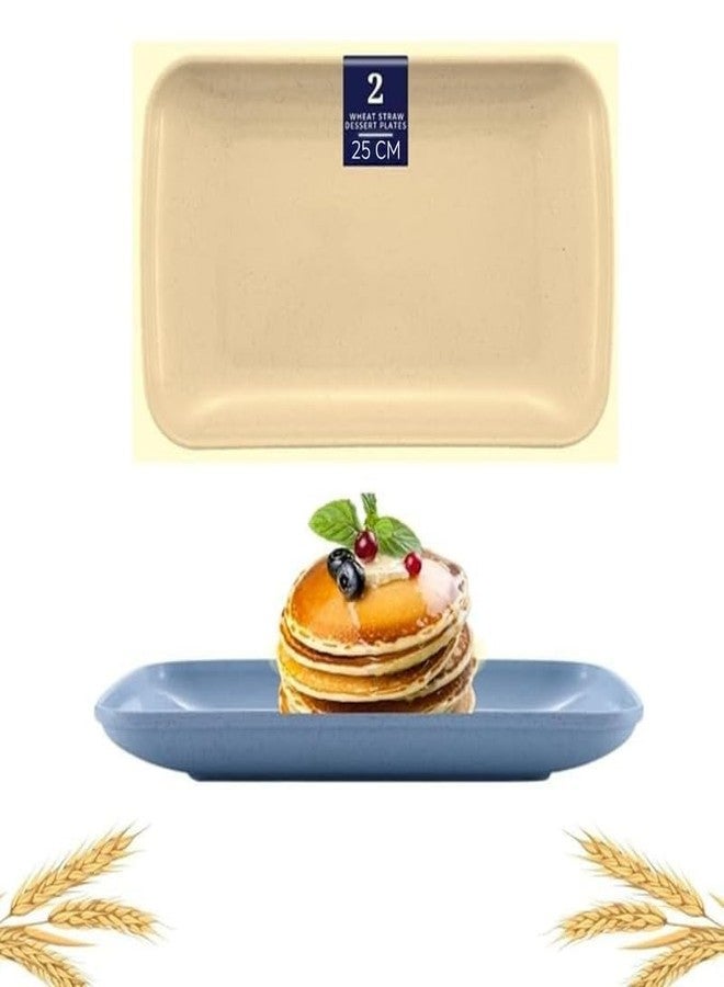 Turbid 2 Pcs 9.65x5.7 Inch Big Rectangular Salad Plates, Serving Dish Wheat Fiber Plate, Appetizer Serving Tray, Wheat Straw Plates for Fruit Sushi Dinner Parties, Microwave Safe (2, Random) - Image 1