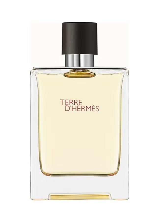 Hermes H24 Terre D'Hermes EDT 100ml - Image 2