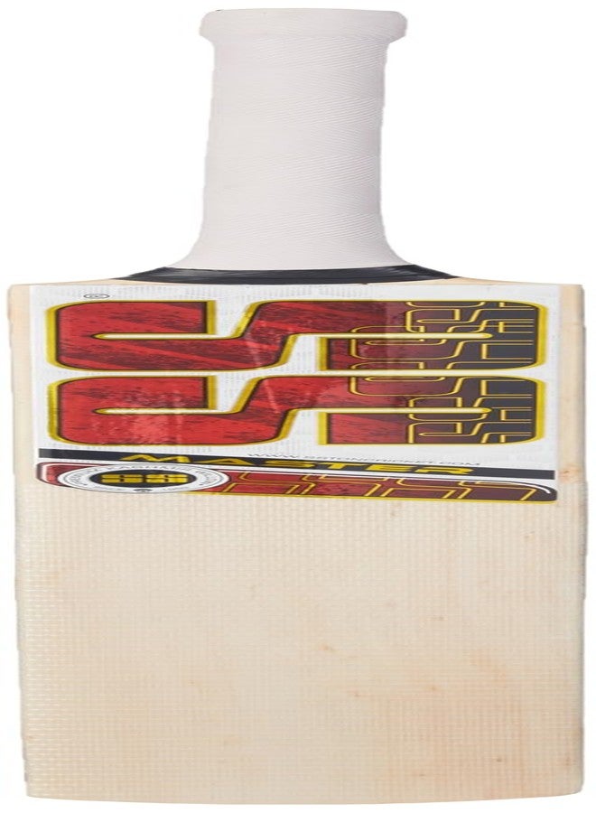 SS Master KW Size-5 Bat, 900 Grams, Lightweight for Youths, Durable Willow for Tennis Ball, Strong Grip, Shock Absorption, Best for Cricket Practice - Image 1
