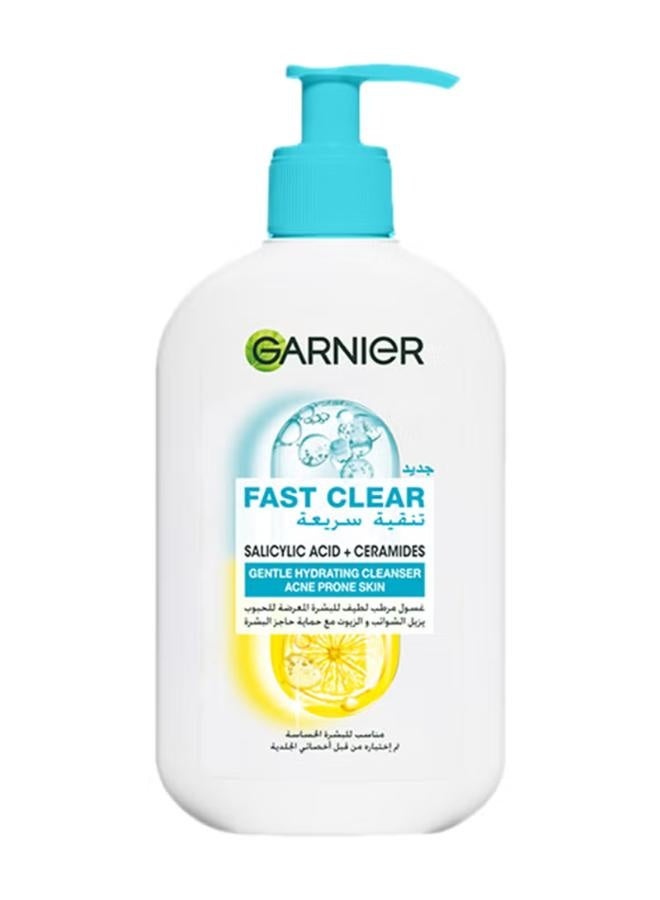Garnier Fast Clear Gentle Cleanser 250ml