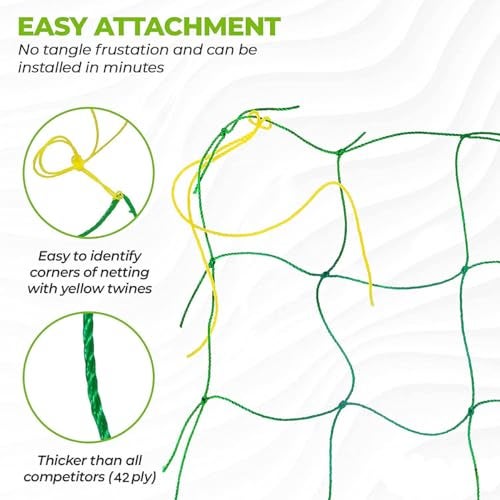 WNE Jaliwale Plant Climbing net & Creeper Net & Plant Trellis Net Plant Support Net Green Color for Agriculture and Gardening Net - 6Feet x 6Feet - Image 2