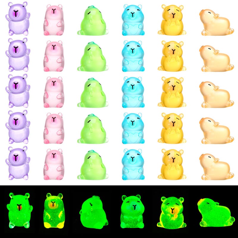 GGSTDDUP 30pcs Luminous Mini Capybara Figurines, Tiny Resin Capybara, Glow in The Dark Colorful Tiny Capybara for Dollhouse Fairy Garden Capybara Birthday Decorations (6 Styles) - Image 1