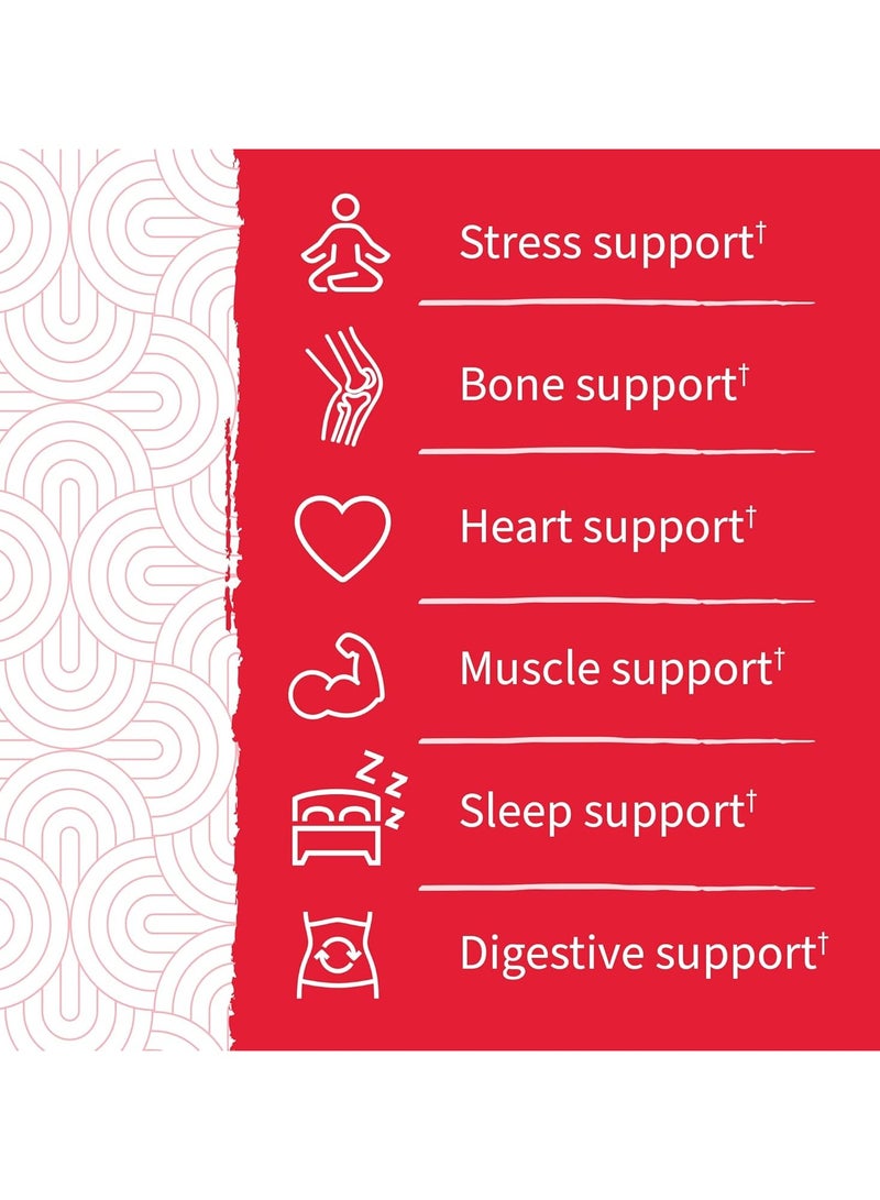 Garden of Life Life Magnesium Citrate Supplement Gummies with Prebiotics & Probiotics for Stress, Sleep & Recovery - Vegan, Gluten Free, Kosher, Non-GMO, No Added Sugars, Raspberry Flavor, 60 Count - Image 2