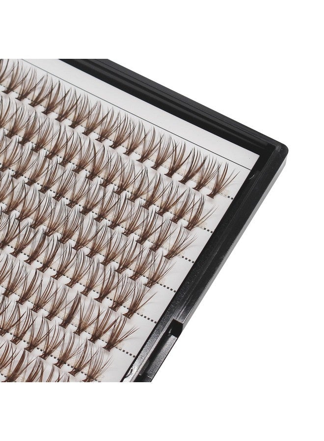 Hannahool Large Tray Handmade 20Roots Brown Cluster Eyelashes Thickness 0.07Mm D Curl Individual False Eyelashes 3D Volume Eye Lashes Extensions Makeup Tools 1020Mm Available (10Mm) - Image 2
