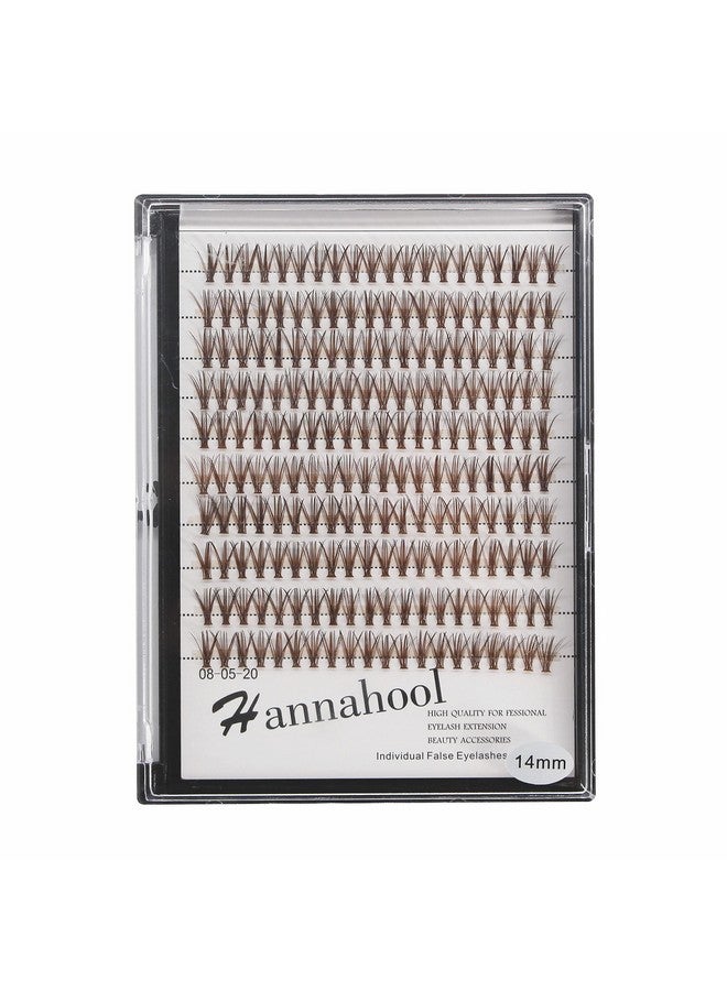 Hannahool Large Tray Handmade 20Roots Brown Cluster Eyelashes Thickness 0.07Mm D Curl Individual False Eyelashes 3D Volume Eye Lashes Extensions Makeup Tools 1020Mm Available (10Mm) - Image 4