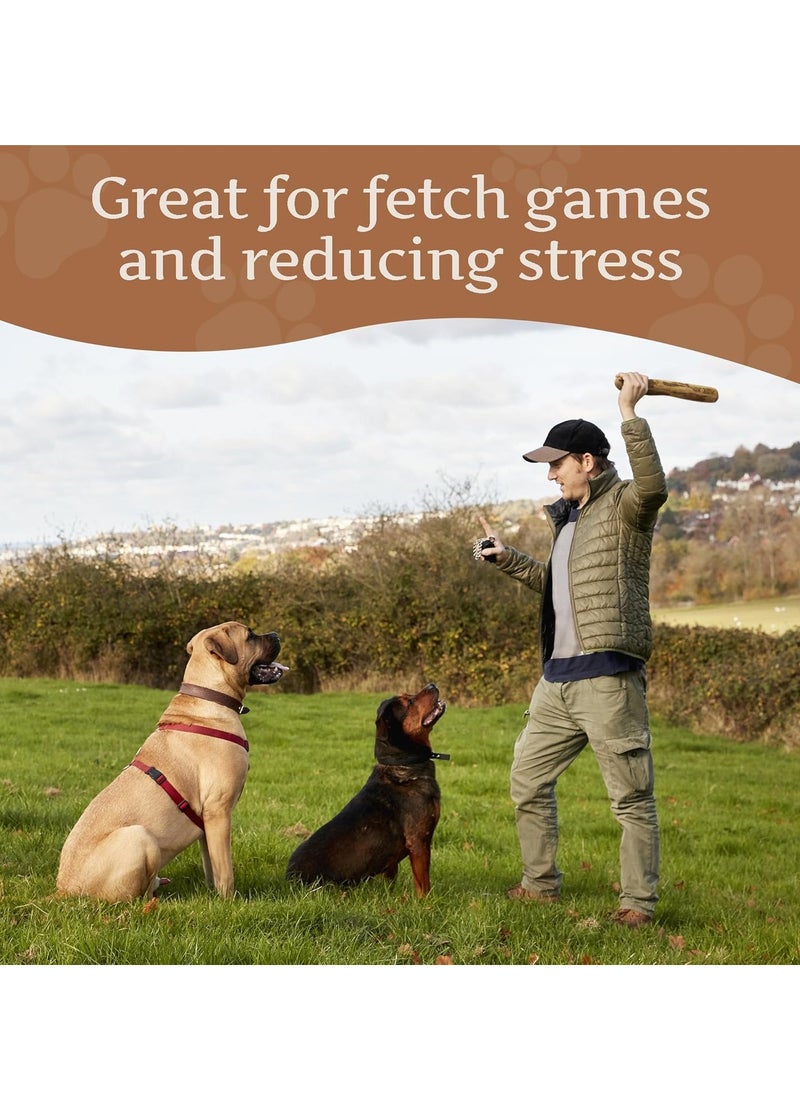 WILD - Olive Wood Dog Chew Puppy Teething Toys Dog Stick Toy Long Lasting Natural Chew Toys for Dogs Root Chews for Dogs Wooden Dog Chew Stick Tree Root Dog Bones Wood Chew for All Dogs Large - Image 1