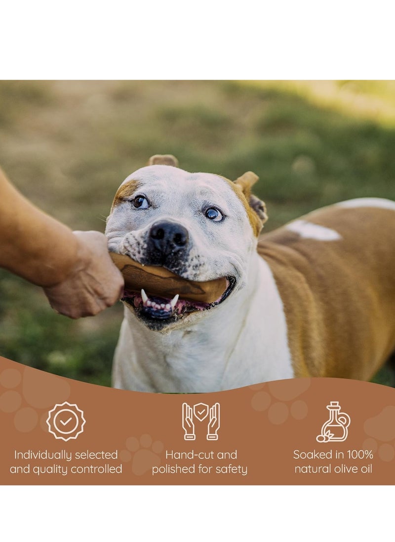 WILD - Olive Wood Dog Chew Puppy Teething Toys Dog Stick Toy Long Lasting Natural Chew Toys for Dogs Root Chews for Dogs Wooden Dog Chew Stick Tree Root Dog Bones Wood Chew for All Dogs Large - Image 1