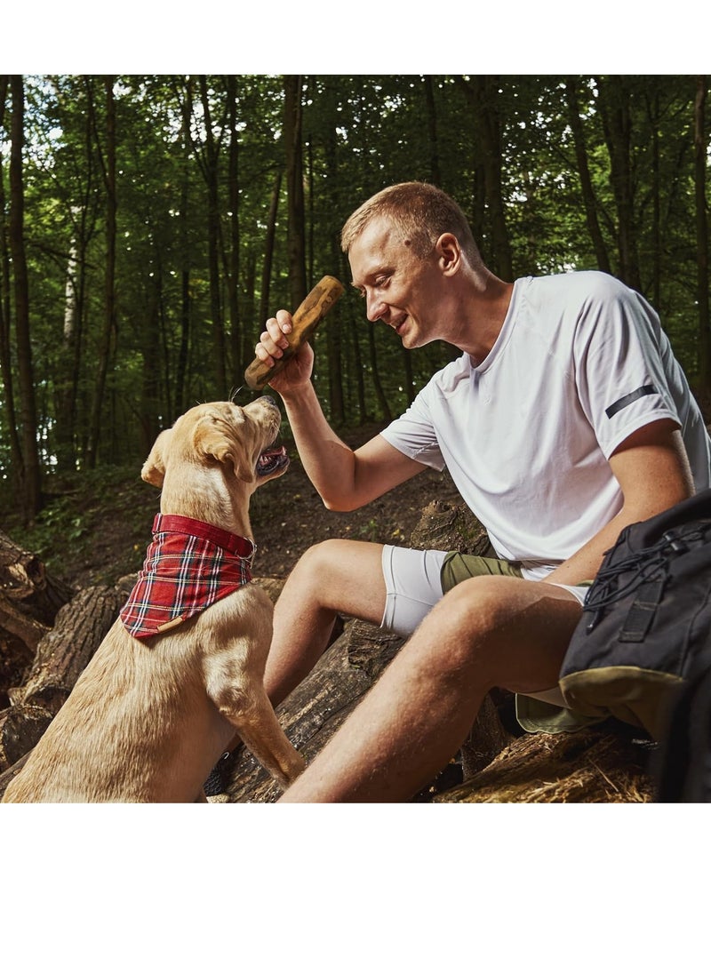 WILD - Olive Wood Dog Chew Puppy Teething Toys Dog Stick Toy Long Lasting Natural Chew Toys for Dogs Root Chews for Dogs Wooden Dog Chew Stick Tree Root Dog Bones Wood Chew for All Dogs Large - Image 1