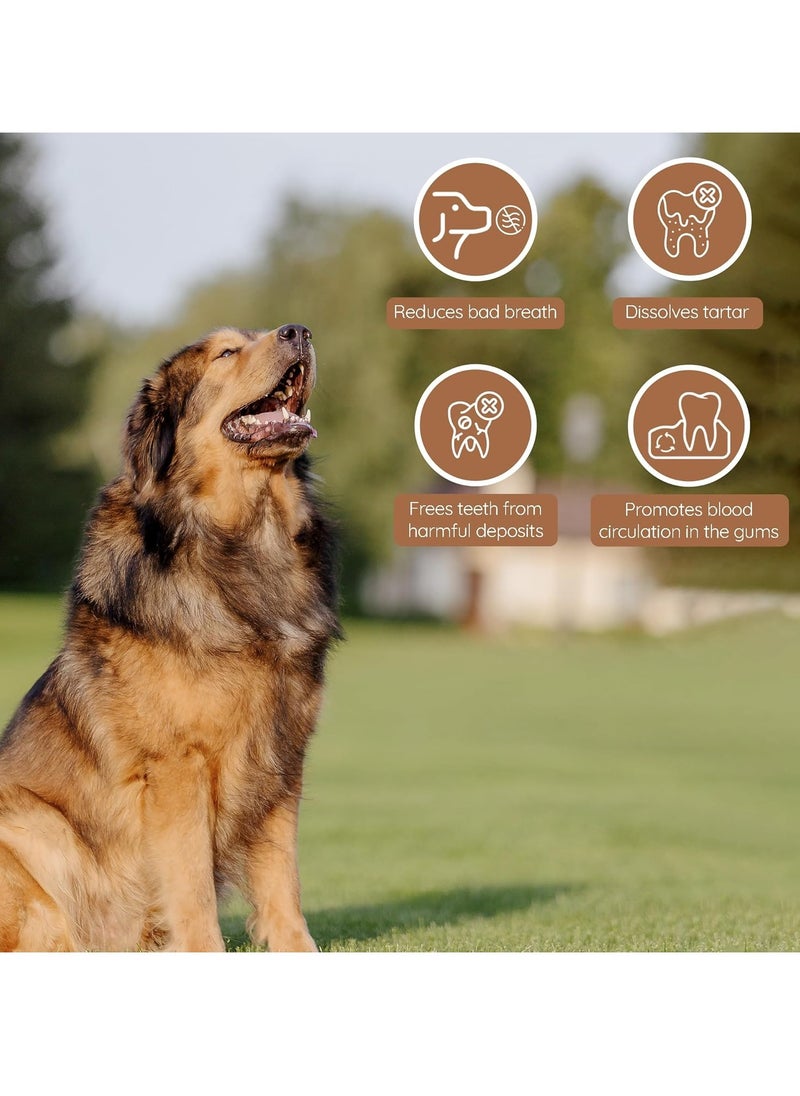 WILD - Olive Wood Dog Chew Puppy Teething Toys Dog Stick Toy Long Lasting Natural Chew Toys for Dogs Root Chews for Dogs Wooden Dog Chew Stick Tree Root Dog Bones Wood Chew for All Dogs Large - Image 1