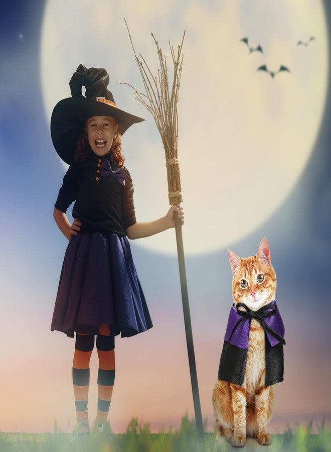 Reginary 6 Pcs Halloween Pet Cat Costume Set Includes 3 Cat Vampire Cloak Pumpkin Cape and 3 Bat Wings Halloween Witch Costume for Kitten Pet Dog Cosplay Halloween Party Decor - Image 5