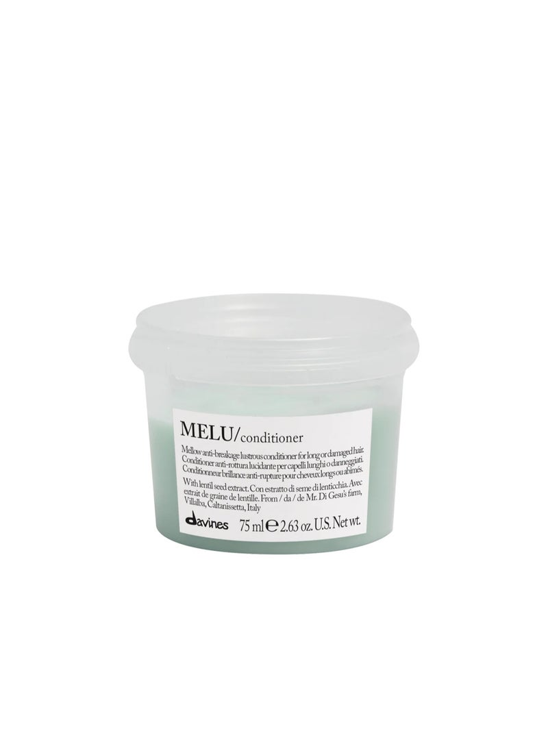 melu conditioner - pzsku/Z76D167F80309042EF43FZ/45/_/1727756861/1b6b67ab-3384-4f6f-959e-83424990becd