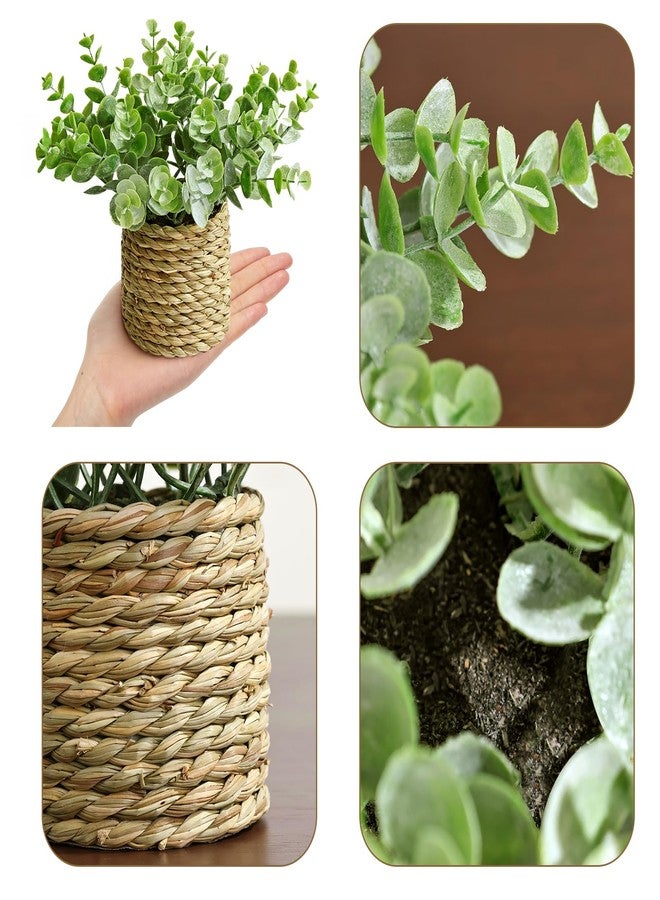 Treory Small Fake Plants: 7 Inches Artificial Plants with Seagrass Handwoven Planters, Indoor Farmhouse Decorations, Eucalyptus Plant for Home Bathroom Office Shelf Tabletop Desk Room Decor or Gift - Image 3