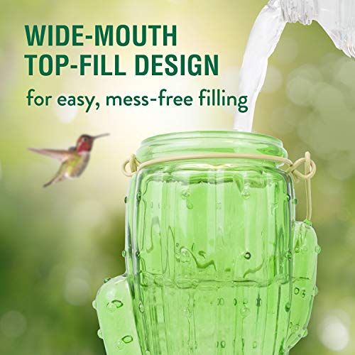 Perky-Pet Cactus Top Fill Glass Hummingbird Feeder with Built-in Bee Guards & Removable Perches - 32 oz Nectar Capacity - Hummingbird Feeder for Outdoors - 9111-1SR - Image 3