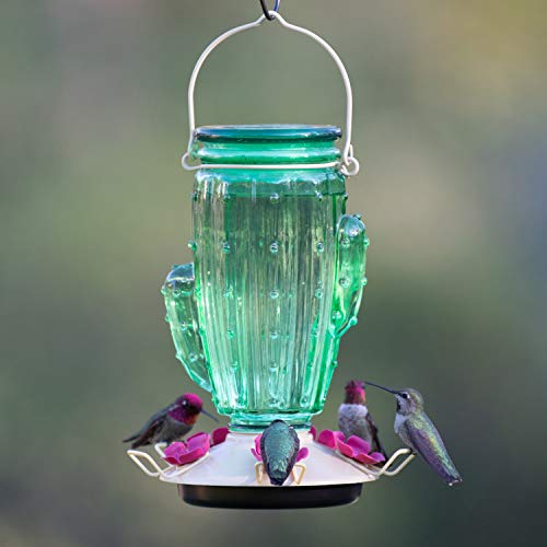 Perky-Pet Cactus Top Fill Glass Hummingbird Feeder with Built-in Bee Guards & Removable Perches - 32 oz Nectar Capacity - Hummingbird Feeder for Outdoors - 9111-1SR - Image 2