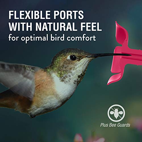 Perky-Pet Cactus Top Fill Glass Hummingbird Feeder with Built-in Bee Guards & Removable Perches - 32 oz Nectar Capacity - Hummingbird Feeder for Outdoors - 9111-1SR - Image 5