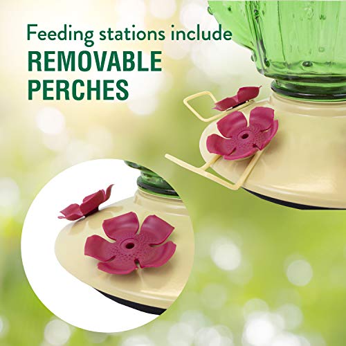 Perky-Pet Cactus Top Fill Glass Hummingbird Feeder with Built-in Bee Guards & Removable Perches - 32 oz Nectar Capacity - Hummingbird Feeder for Outdoors - 9111-1SR - Image 4