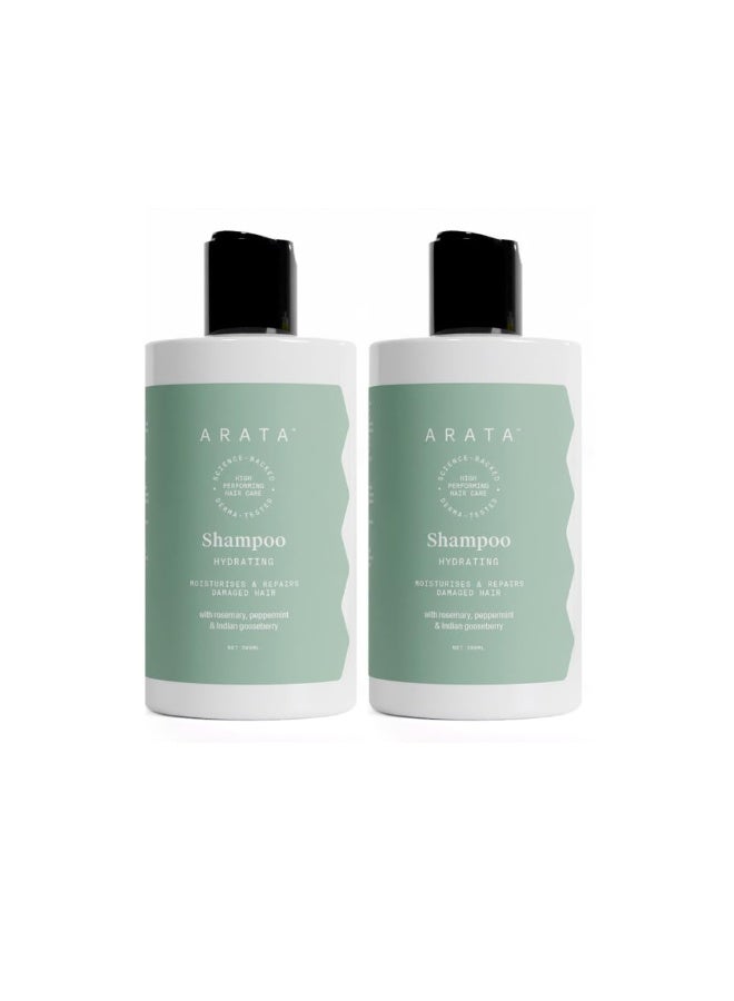أراتا شامبو الترطيب الطبيعي للشعر (300 مل) لشعر ناعم وسلس | شعر خالي من البارابين والكبريتات لإصلاح التلف والترطيب | يقلل من التجعد وتقصف الشعر مع الجنكة والزنجبيل وعنب الثعلب الهندي - Image 1