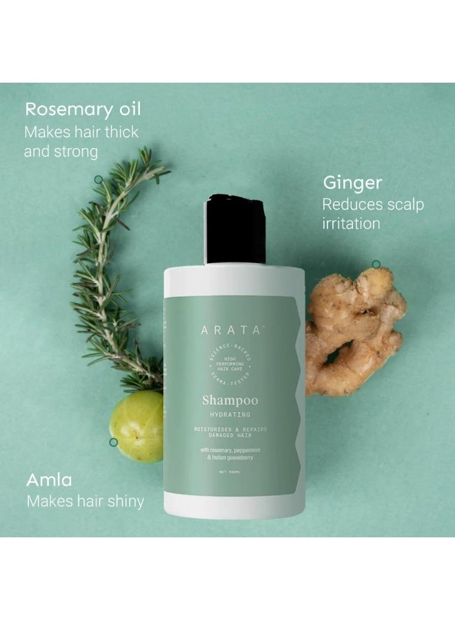 أراتا شامبو الترطيب الطبيعي للشعر (300 مل) لشعر ناعم وسلس | شعر خالي من البارابين والكبريتات لإصلاح التلف والترطيب | يقلل من التجعد وتقصف الشعر مع الجنكة والزنجبيل وعنب الثعلب الهندي - Image 3