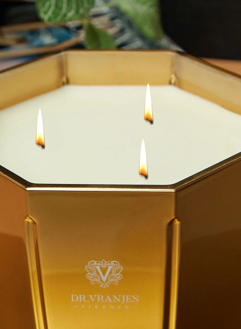 Dr. Vranjes Candela Oud Nobile 500 Gr Oro Met. 2.0