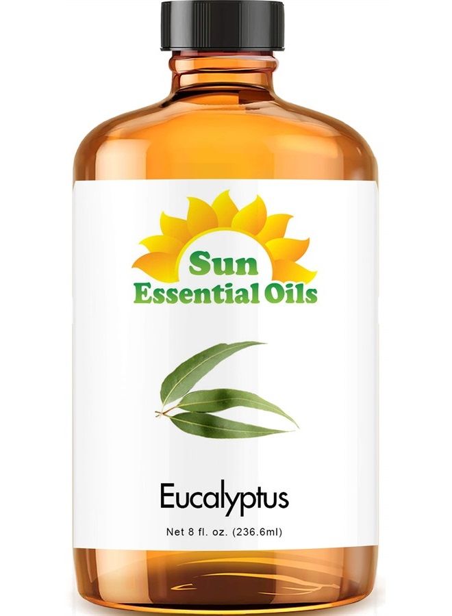 Sun Essential Oils 8oz - Eucalyptus Essential Oil - 8 Fluid Ounces - Image 1