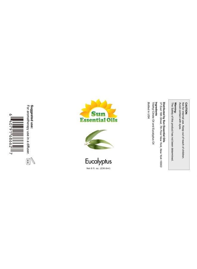 Sun Essential Oils 8oz - Eucalyptus Essential Oil - 8 Fluid Ounces - Image 2