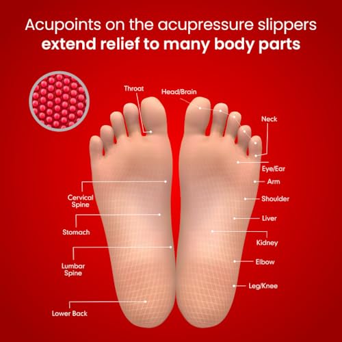 Dr. Ortho Dr.Ortho Acupressure Slippers | Acupressure Slippers | Flip-Flops | Men & Women's Slippers | Comfortable & Lightweight | Soft Foot Massager | All Day Wear Acupressure Slipper | Size UK-06 - Image 2